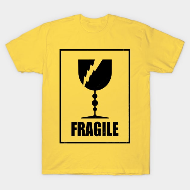 Fragile T-Shirt by BBvineart